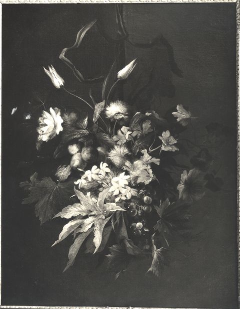 Anonimo — Anonimo spagnolo sec. XVII/ XVIII - Natura morta con mazzo di fiori — insieme